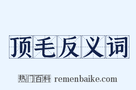 顶毛反义词是什么意思的图片